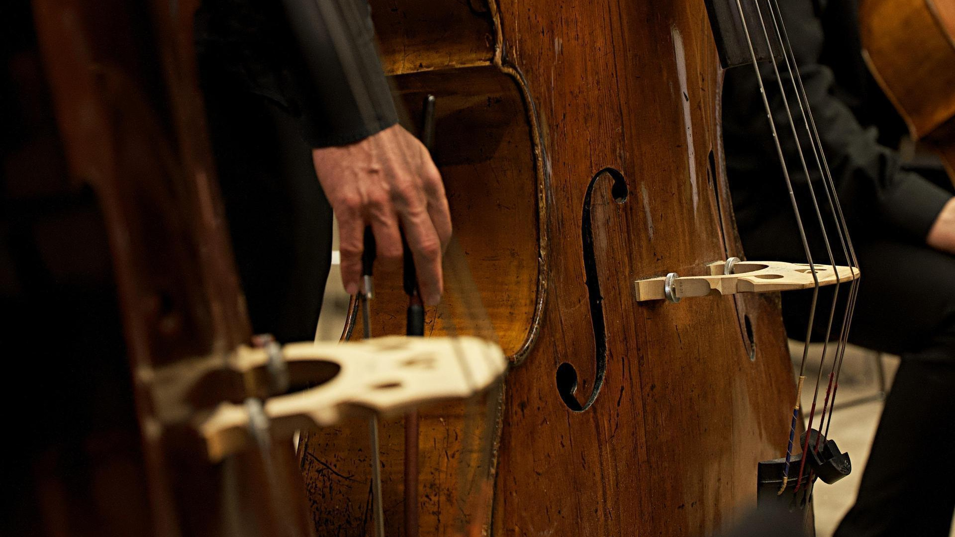 Wiener Concert-Verein Saiteninstrument Ensemble